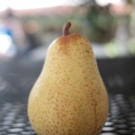 pear from canyon rd in moraga