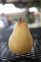 pear from canyon rd in moraga