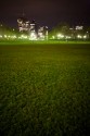 IMG_7384dm