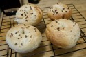 they look like real bagels