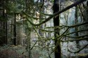 issaquah hike