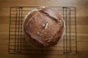 rye and spelt, top view