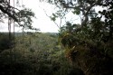 atop the wooden tower at sacha lodge