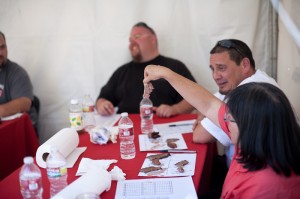 bbq judges share a laugh at a questionable entry